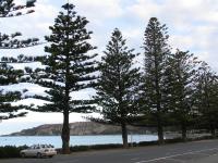 Albums/20060200-New Zealand 2006/20060318-Kaikiura/58